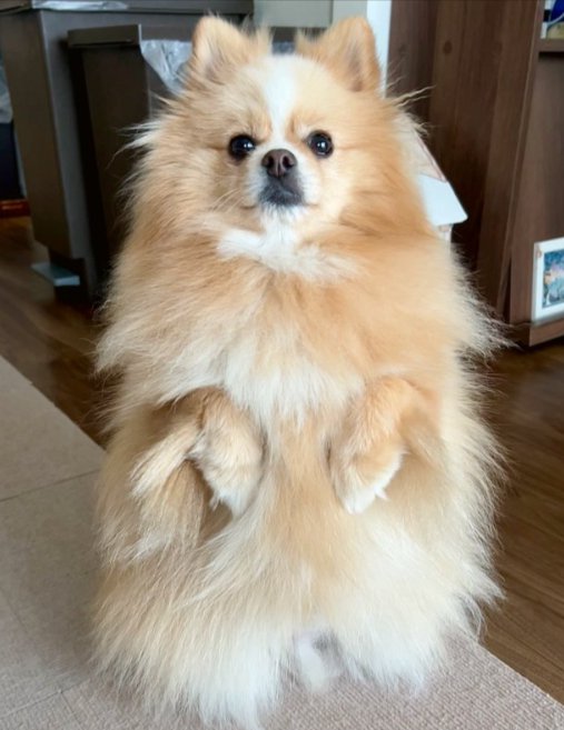立派に成長
