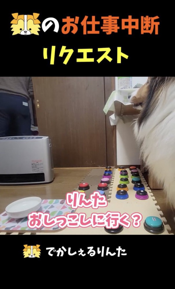 行きます