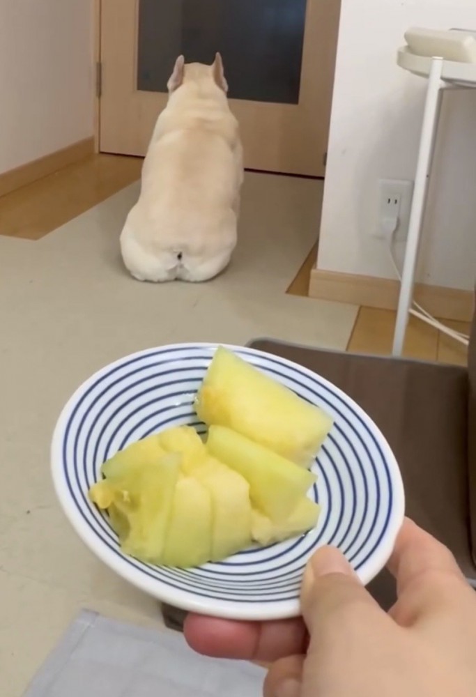 扉を向いて座り続ける犬