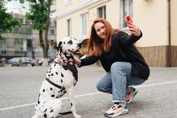 スマホで撮影されている犬