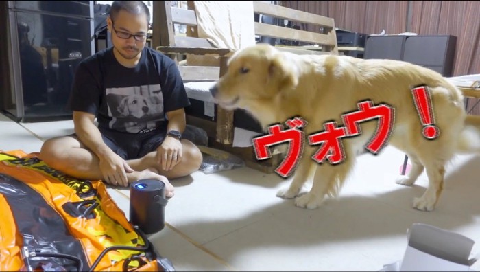 電動ポンプに吠える犬