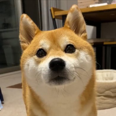 ツンデレ