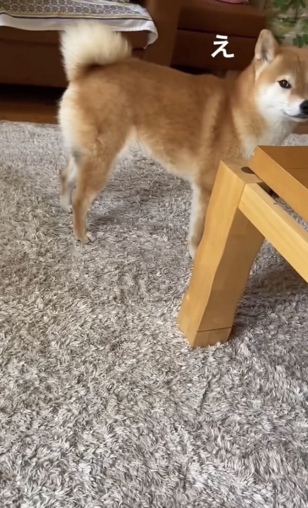 バレたわ