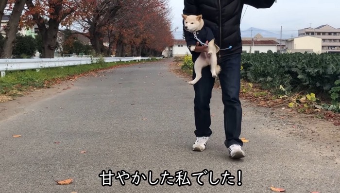 服を着た犬