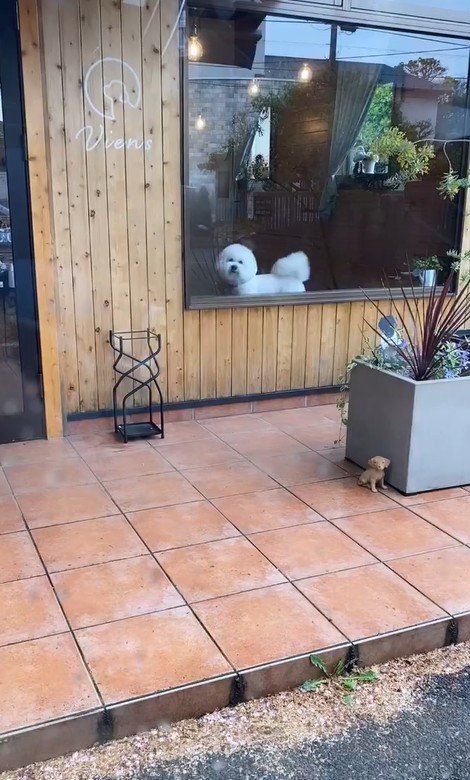 ショーンくんのお迎え