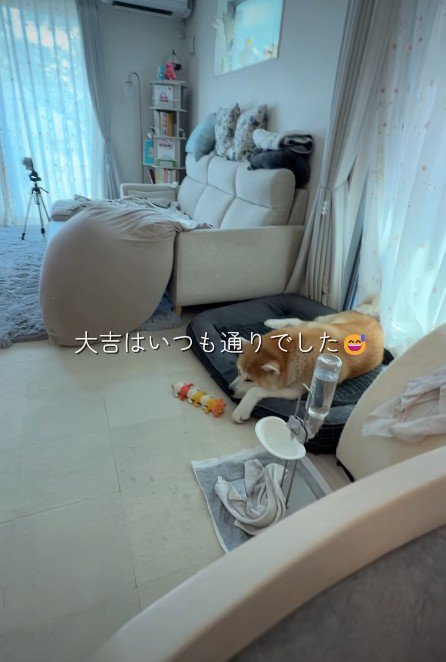 素晴らしい家族の始まり