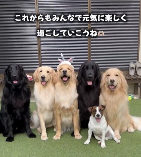 笑顔全開の幸せな毎日