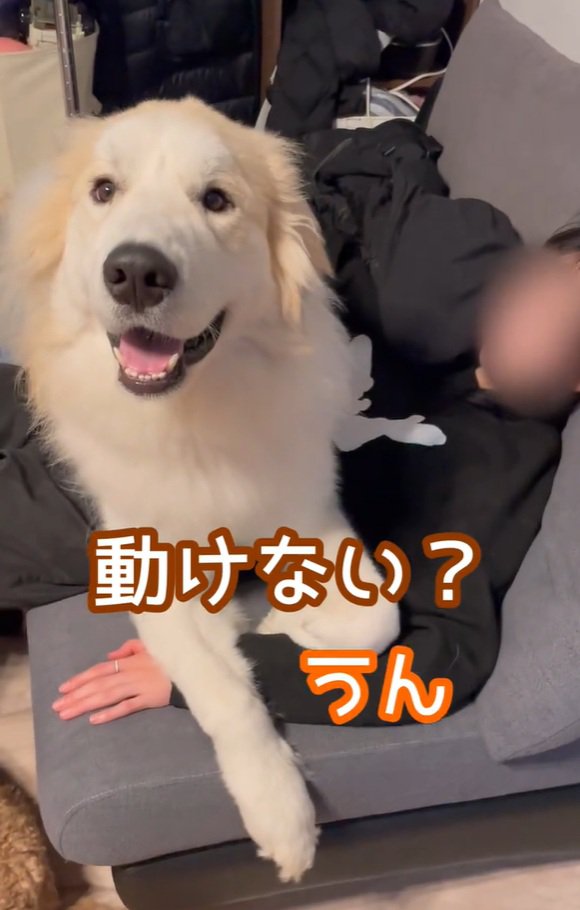 笑顔のそら君