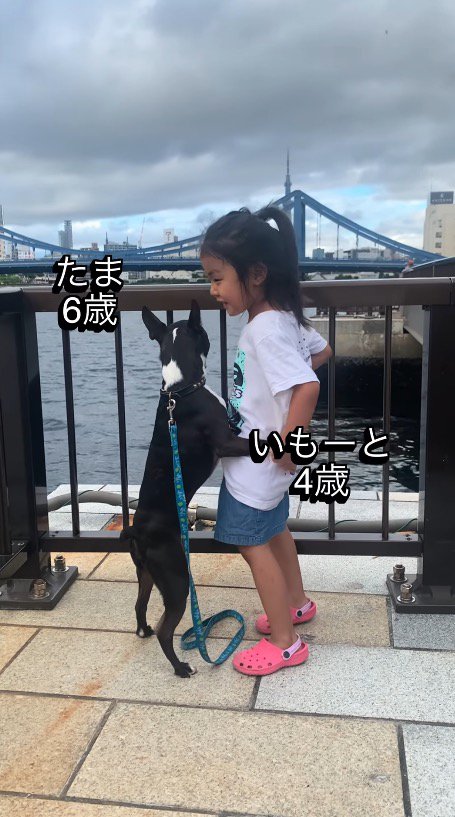 後ろ足で立ち上がった犬の前足を自分の背中に回す女の子