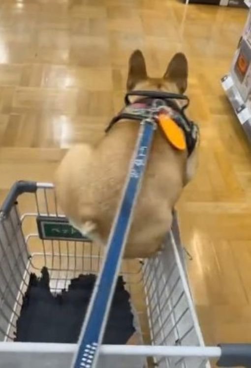 必死な姿が可愛い（笑）