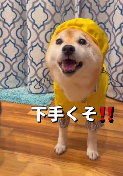 とっても似合ってる！！