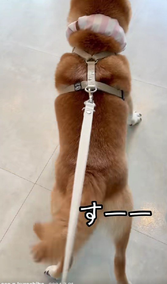 「逃げられないよ～」