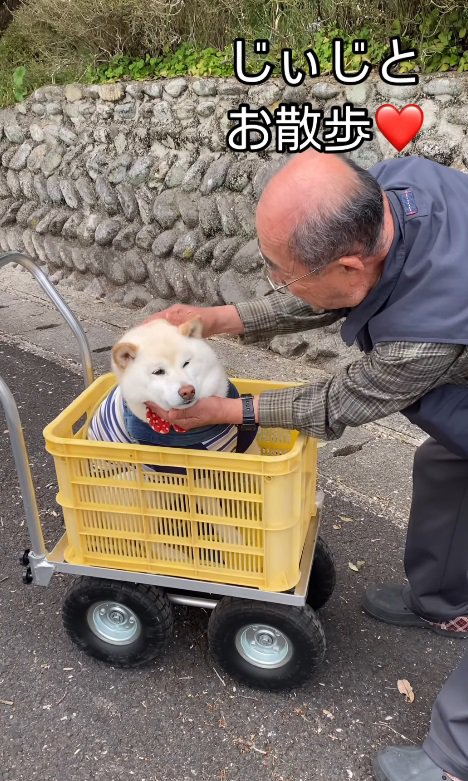 「早く動かして！」