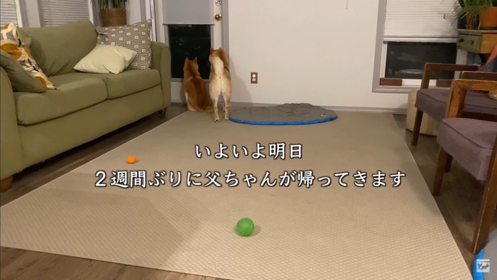 ナラちゃん＆ソラくんの熱烈歓迎2