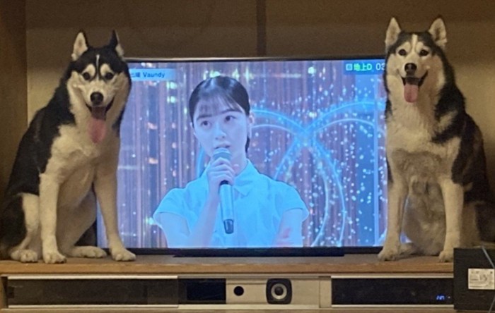 ジャジャーン!!!