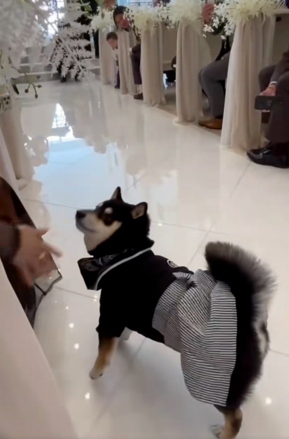 参列者を見るラックくん