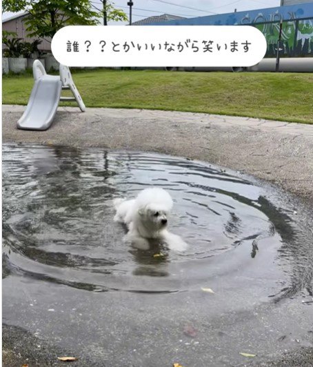 別犬2