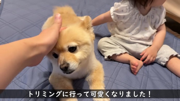 パパさんもナデナデすると…