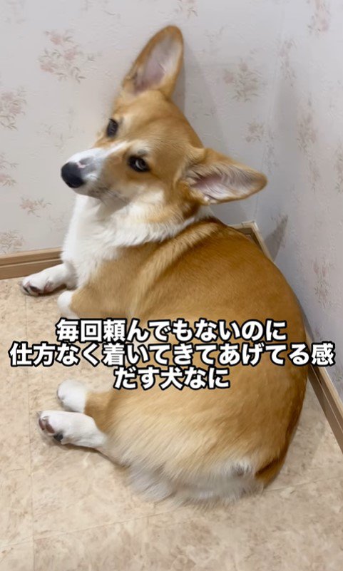 トイレについて来たこまよちゃん4