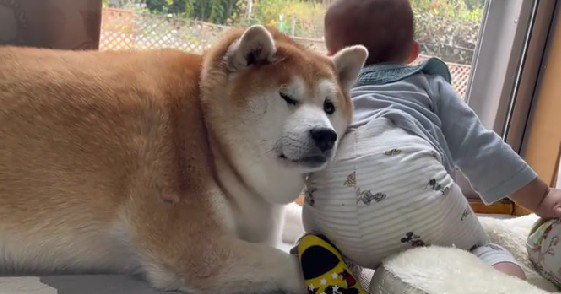 ちょっぴり離れると…