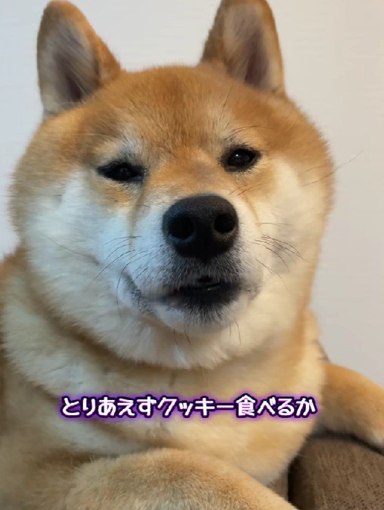 おやつを提案すると？