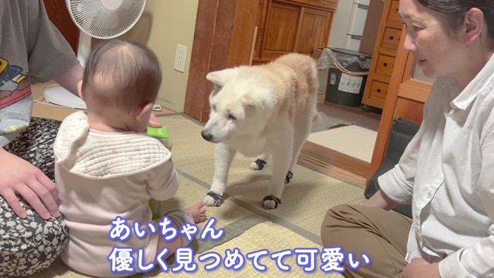 まるでおばあちゃんと孫みたい