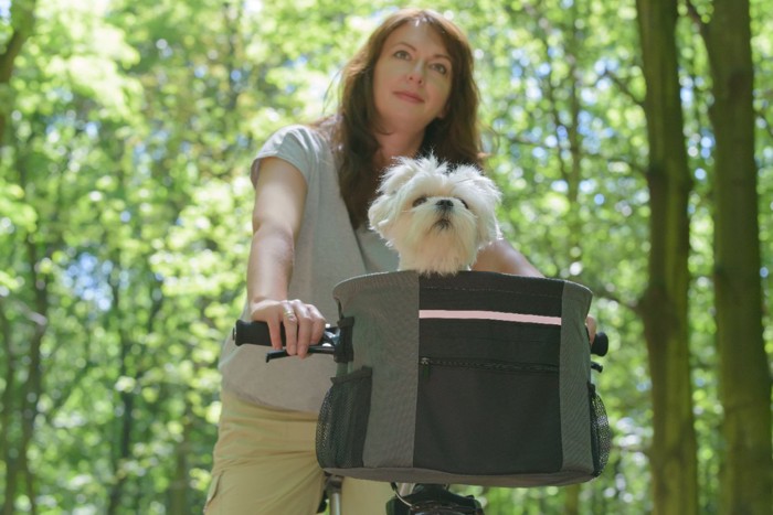 自転車に乗る女性と犬