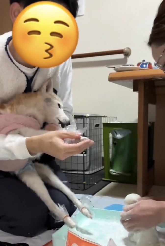 犬の前足を触る飼い主