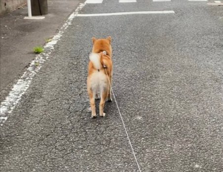 葛藤の日々