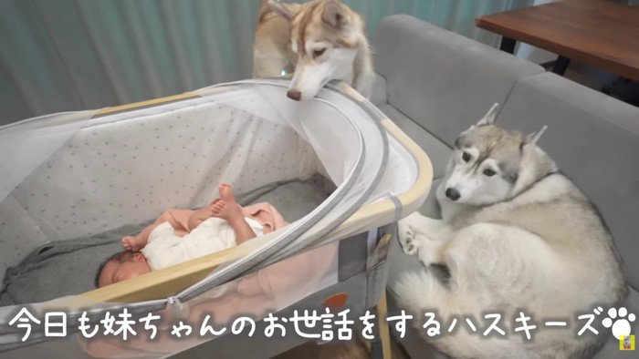 不審者が家に侵入！？