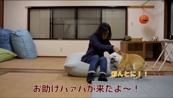 女性に撫でられる犬