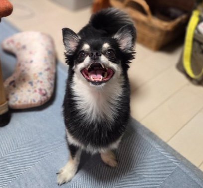 普段