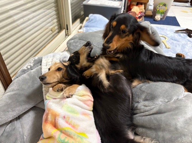 わちゃわちゃ♪