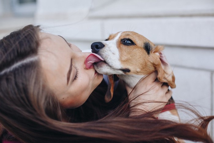 犬が女性の顔をなめている