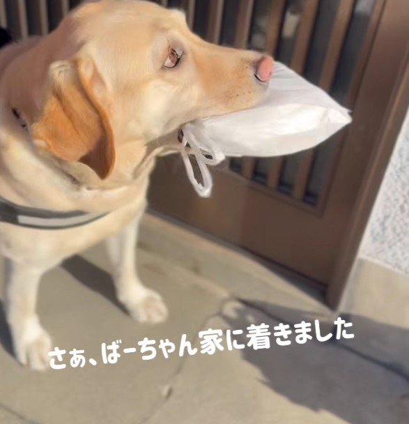 おばあちゃんの家に到着