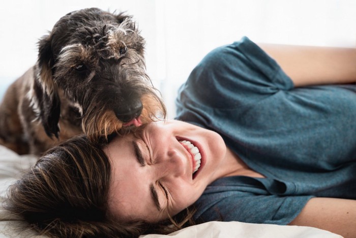 寝そべった女性の顔を舐める犬