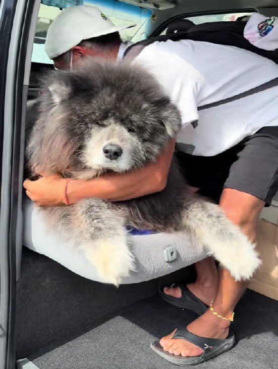 てこでも動かない!?