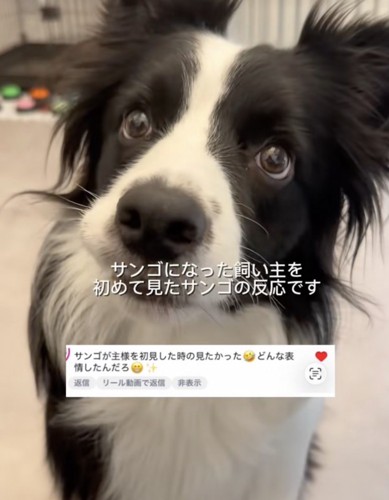 反応はいかに？