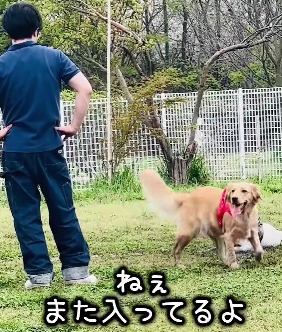 「おからちゃん、またやってる!」