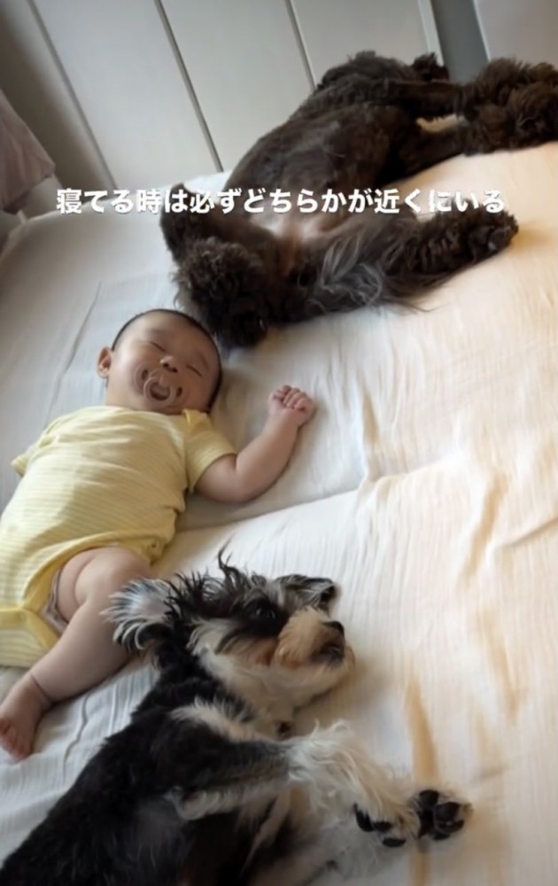 みんなで「ZZZ…」