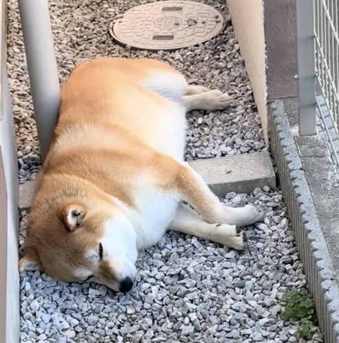 全く起きなさそう。