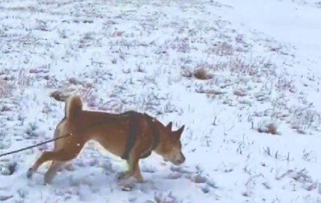 遠くに見つけたのは…