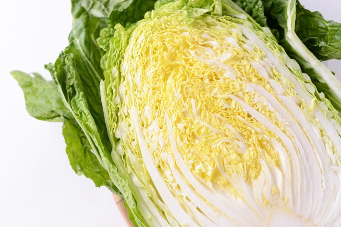 新鮮な白菜