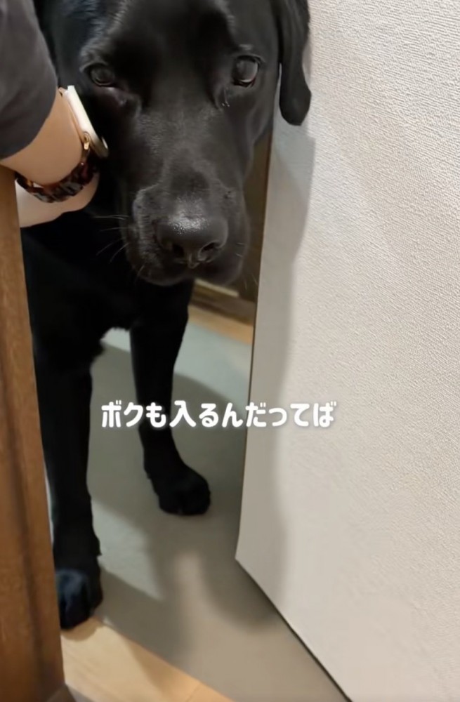 押し出されるラブくん