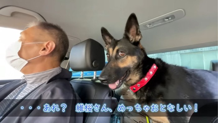 おじいちゃんと犬