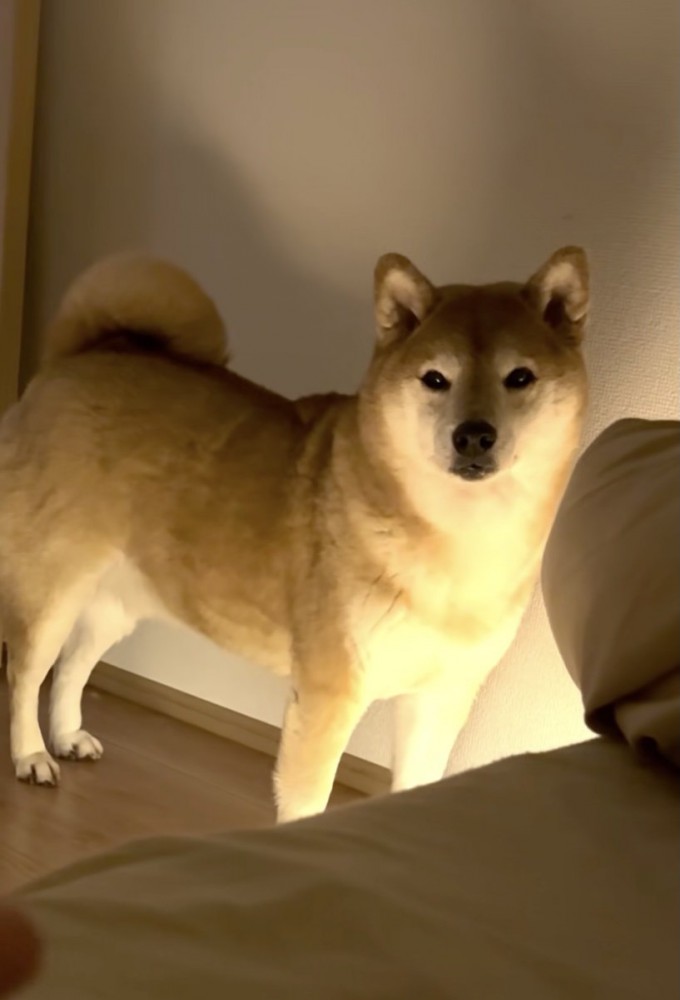 幹雄くん、ハグを懇願される