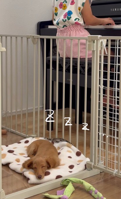 いい夢を見られそう♡