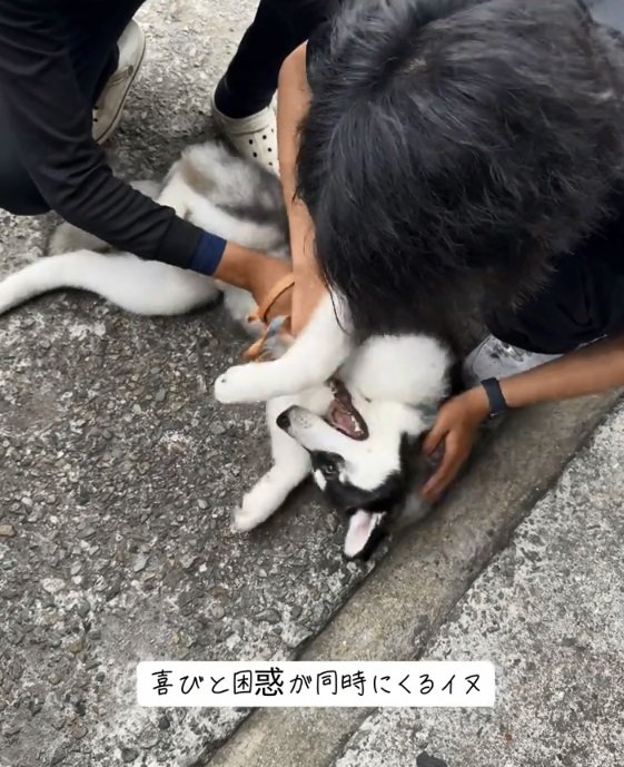 声が出るキラくん