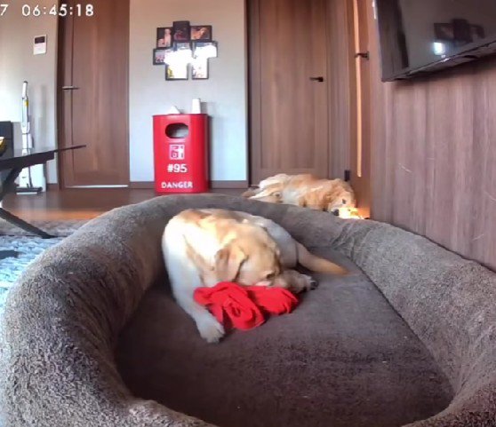 投稿主さんのジャージ！！