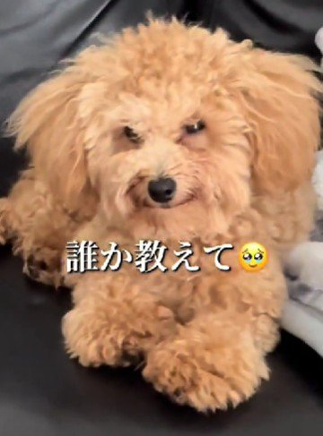 みんなもこうなる？